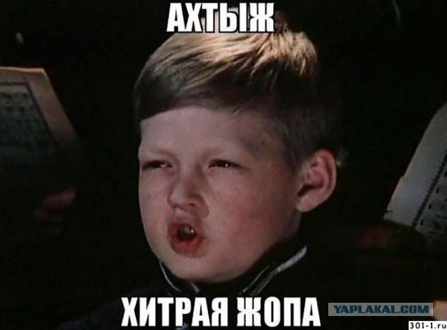 Американка сдала рабочих миграционной службе ICE, чтобы не платить им $10 тысяч за ремонт крыши
