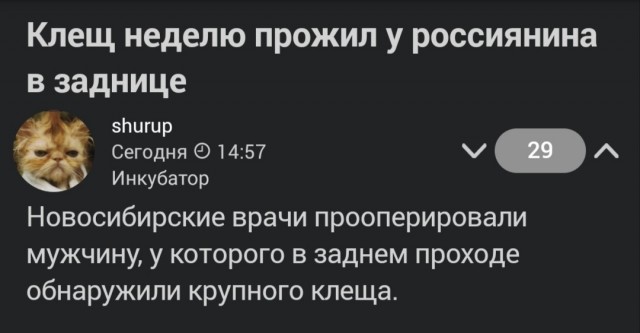 Йойо