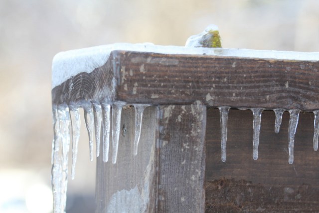 Ледяной дождь 03.05.24 (Лен.обл)