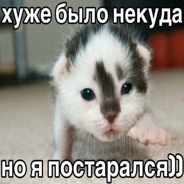 47 начальников внаглую маринуют шалык!