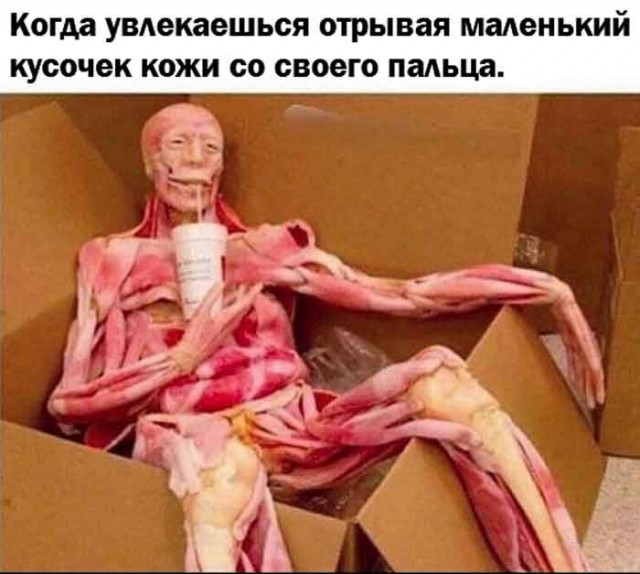 Картинки из мусорной корзины 02.05.26