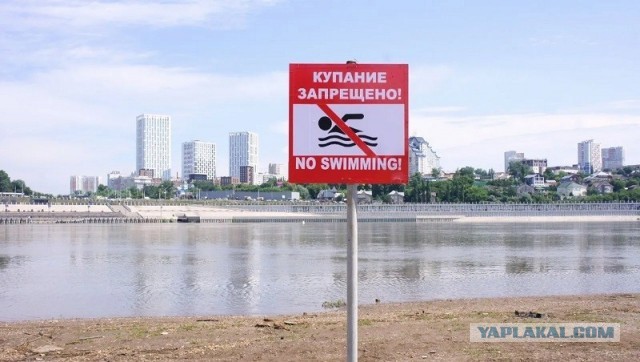Жительница Новосибирска возмутилась из-за того, что кто-то вызвал ночью на пляж стриптизершу