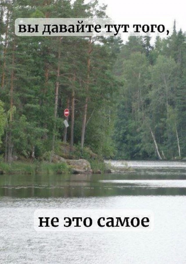 Так себе картинки 29.07.26