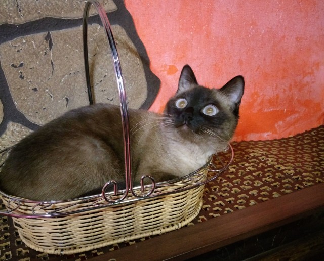 Пополнение