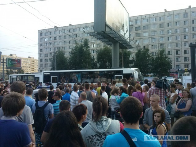 Убийство в Питере