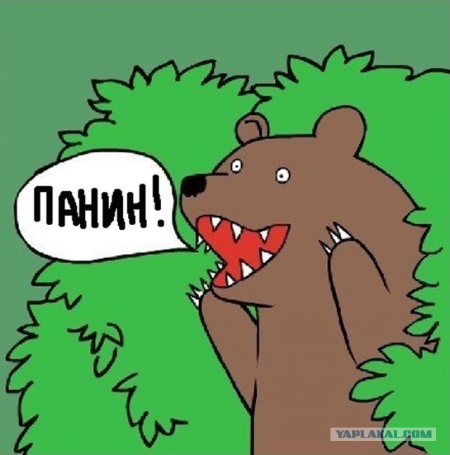 И снова Панин