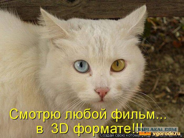 Нашли друг друга!