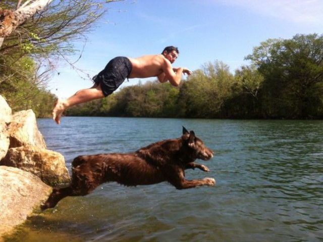 Веселые картинки