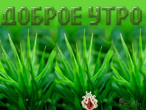 Чёрт, чёрт, чёрт!