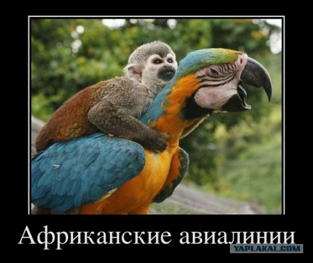 Демотиваторов пост, добавляйте свои