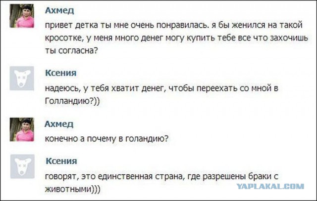 Смешные комментарии из социальных сетей