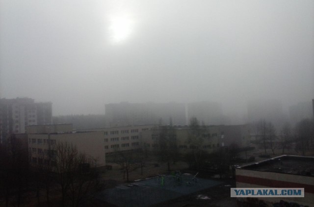 А из нашего окошка ....