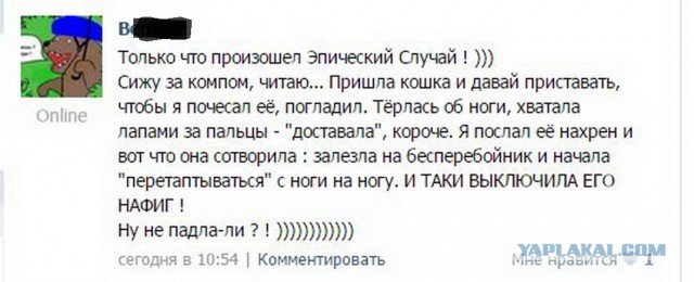 Смешные комментарии из социальных сетей