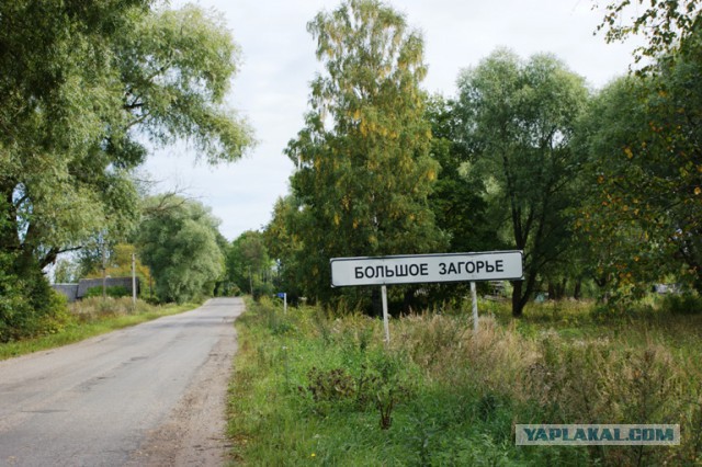 Поиск родственников