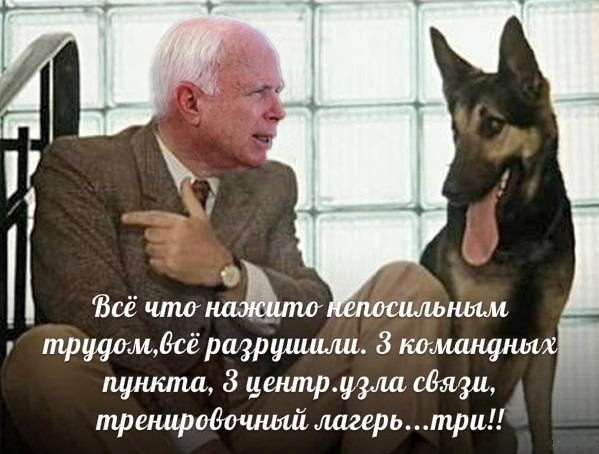 Маккейн Васильевич меняет профессию