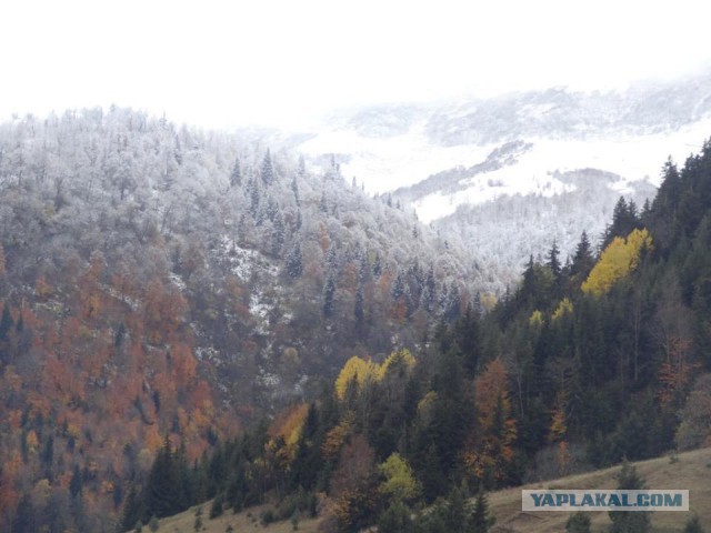 Природа "альпийской" Грузии