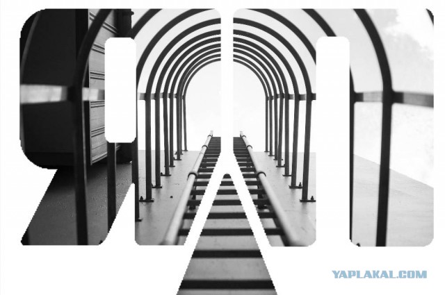 Nikon пришлось извиняться за награждение автора отфотошопленного снимка