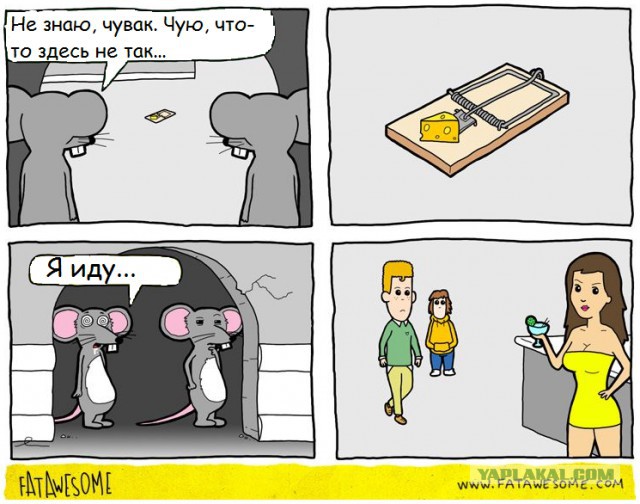 Поразительные аналогии