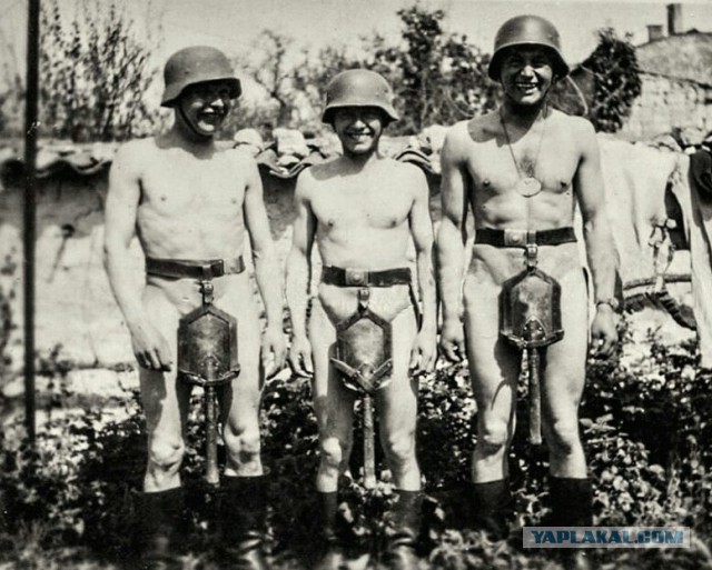 Wargaming 33
