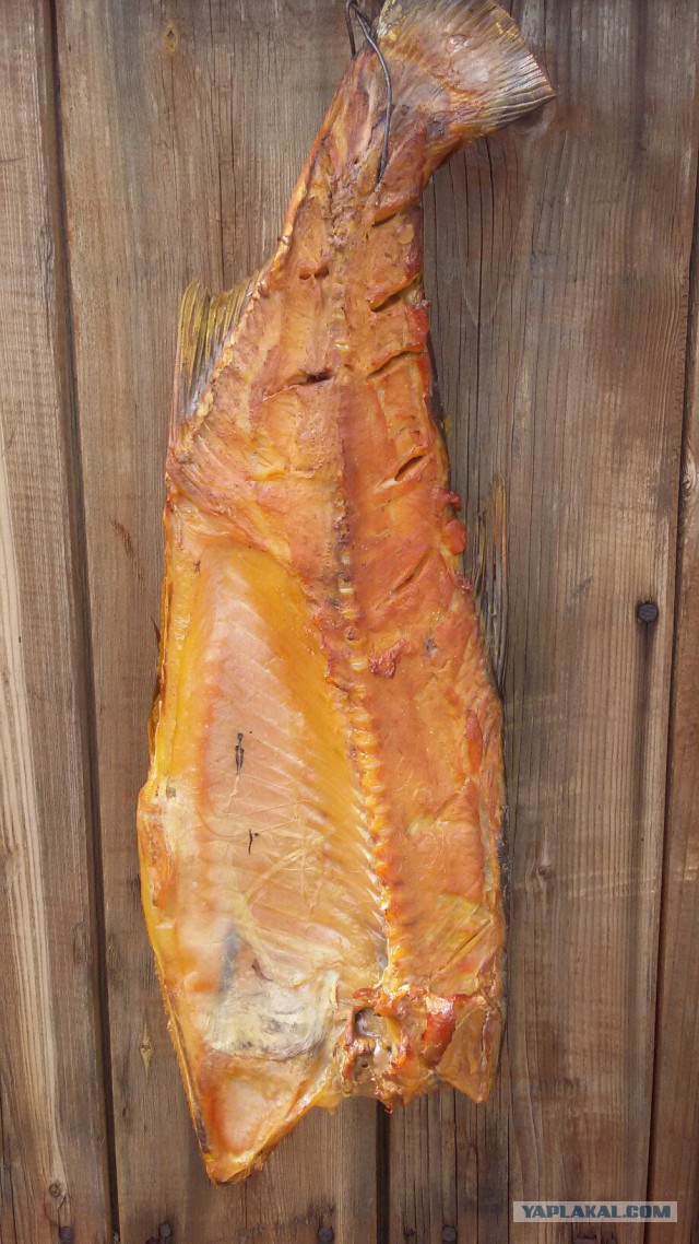 Делаем дымогенератор для копчения.