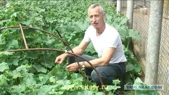Вот как, а мы и не знали