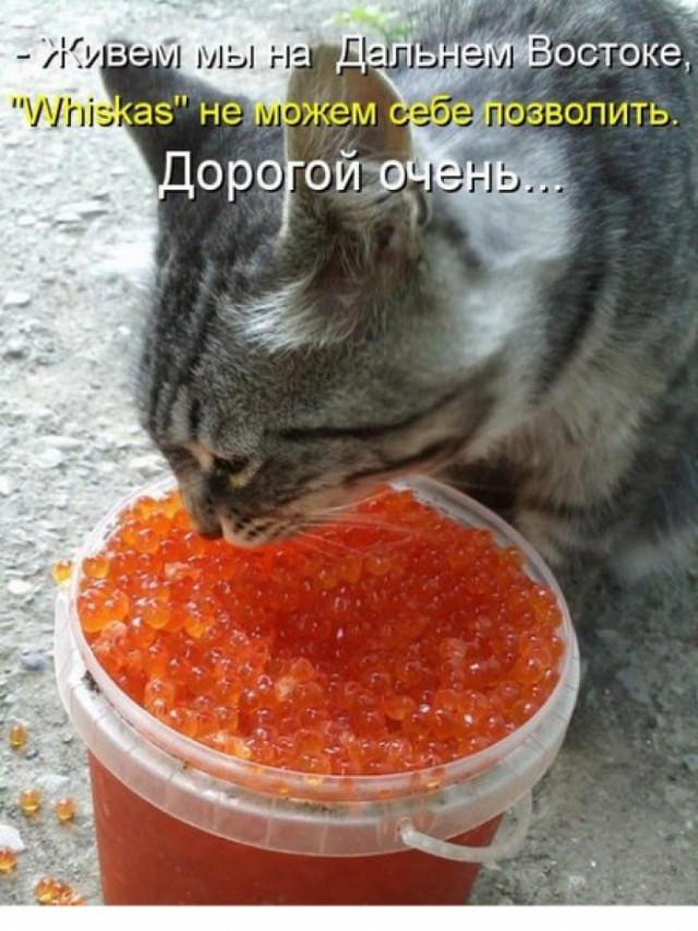 Решила вещдок уничтожить?