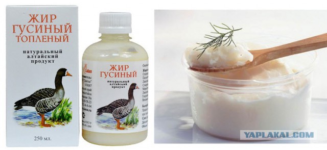 Жарим картошку на ЦИАТИМЕ