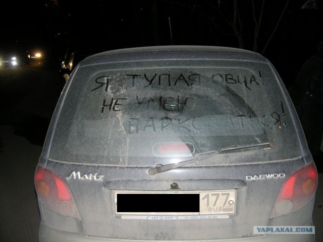 Новая мода в женских авто