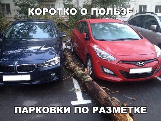 Прикольные картинки обо всём