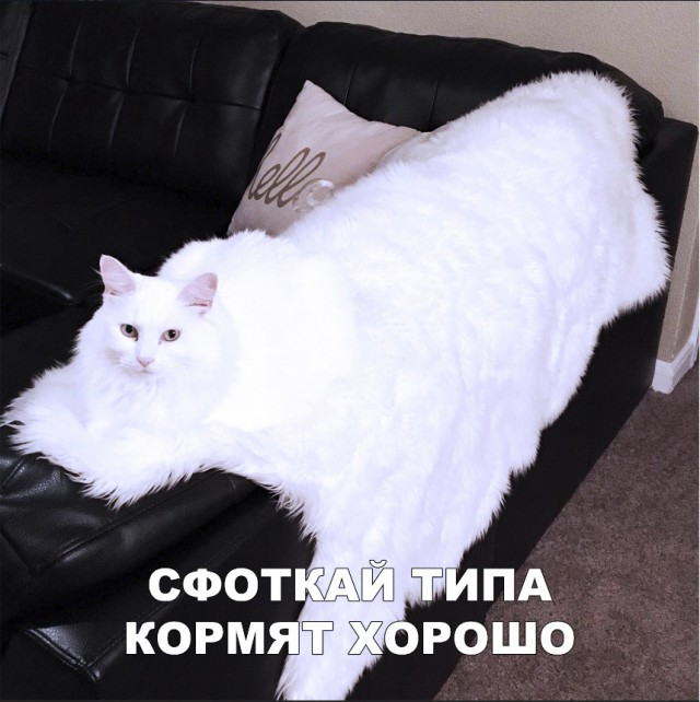 Нестандартный юмор