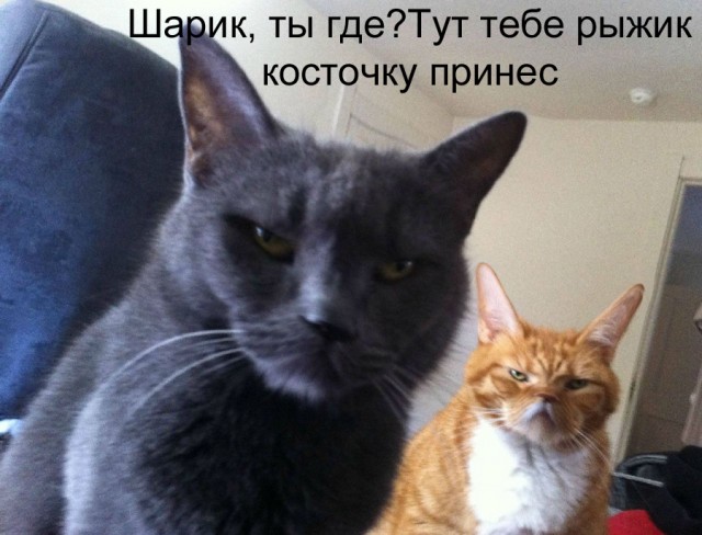 Ну что, поговорим?