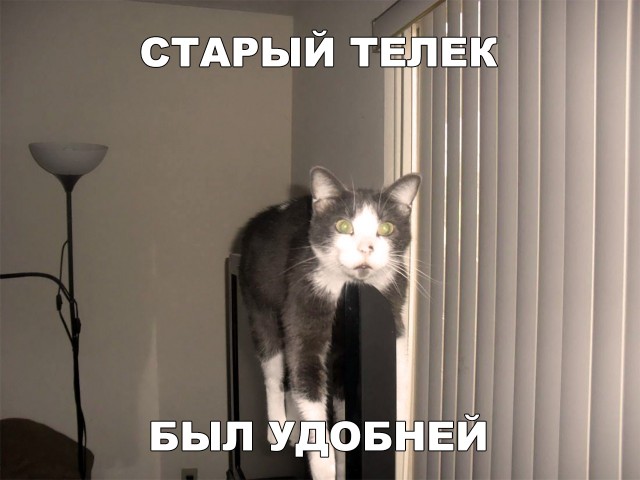 Немного милоты
