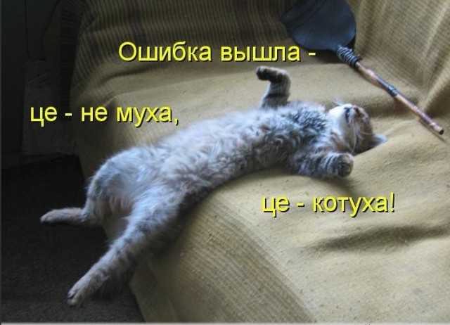 Нестандартный юмор