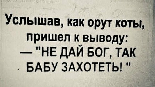 Анекдоты, соц-сети и картинки с надписями