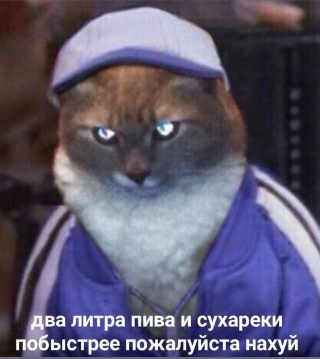 Я отстаю от жизни