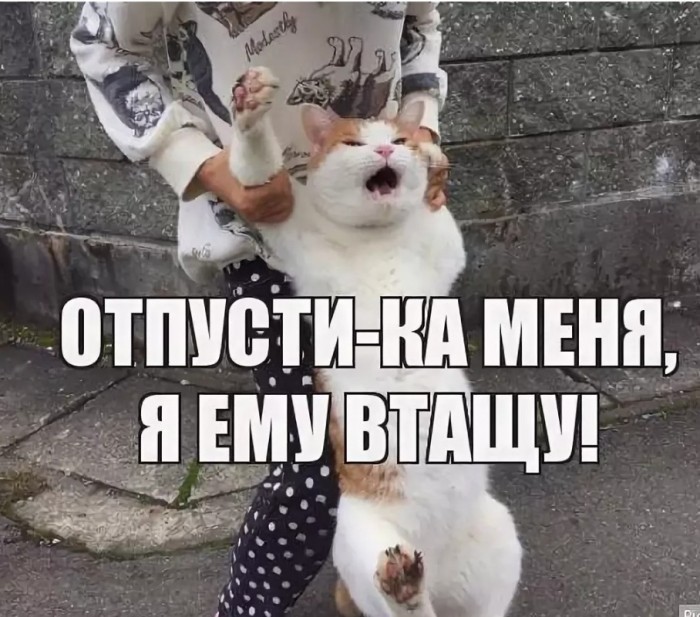Что у него в голове?