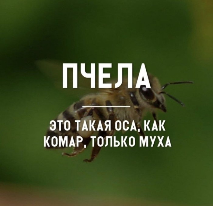 Громкие заявления