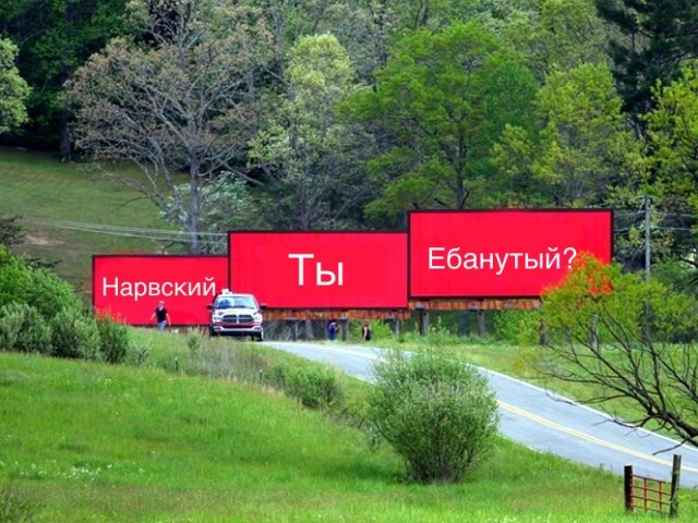 Всем бобра!
