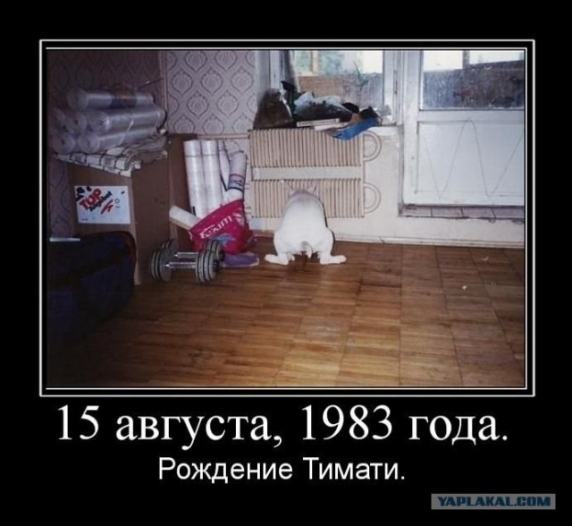 Уличные указатели, бессмысленные и беспощадные