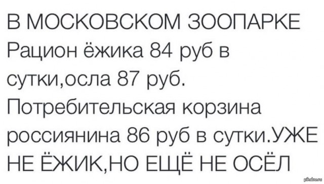 В Кургане 75-летней пенсионерке повысили пенсию. Правда, она не рада этому, ведь прибавка составила 1 рубль 10 копеек