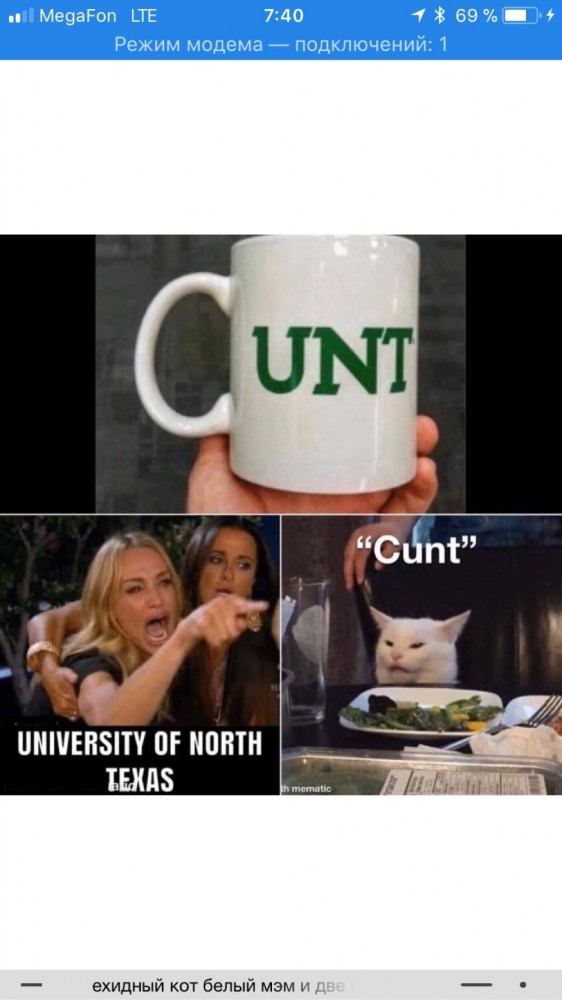 Котовторнику посвящается