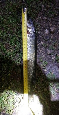 «Мне фиолетово на твой протокол», «Езжай в свое Иваново», «Я буду судиться!»: едрос и чиновник Белого дома Башкортостана.