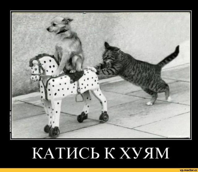 Бузова иммигрирует