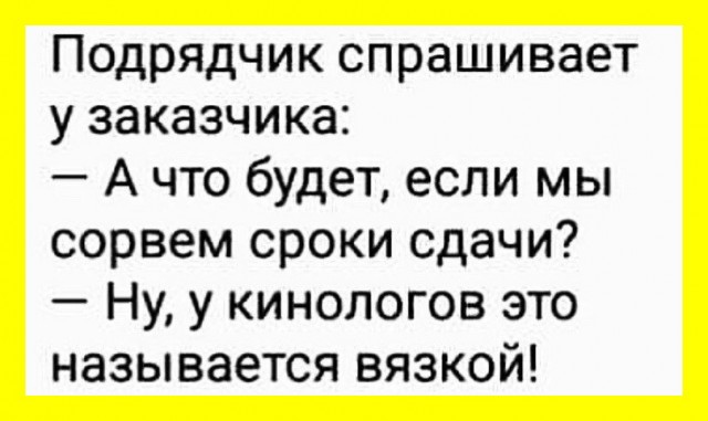 Веселые истории о нас №237