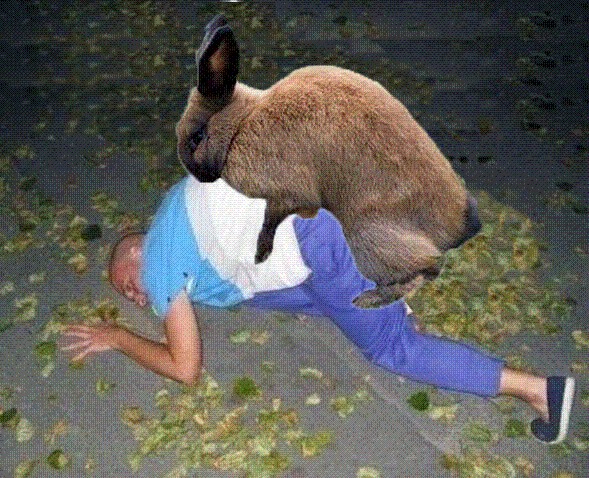 Фотожаба: ...как будто он не пьяный