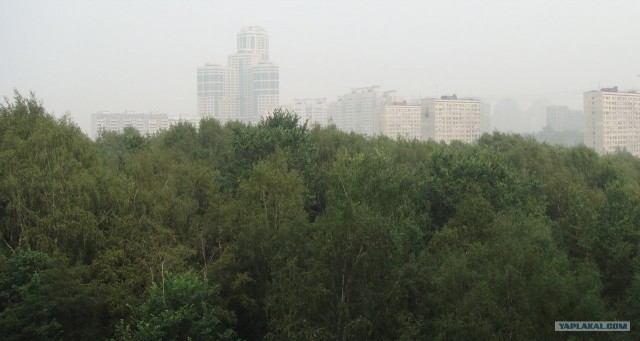 Дым в Москве (04.08.2010)