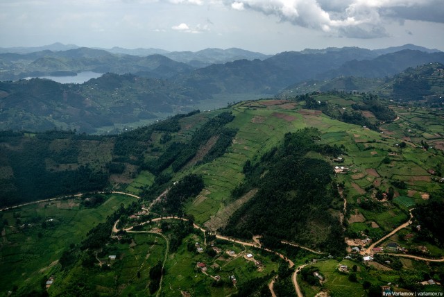 Уганда: самая настоящая Африка с гориллами и носорогами!