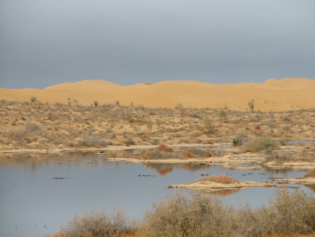 пустыни прикаспийской низменности. пустыня каспий 1. арал-асар городище. барханы прикаспийской низменности. прикаспийская низменность пустыня.