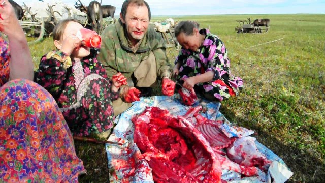 Власти Якутии передумали насильно вакцинировать жителей