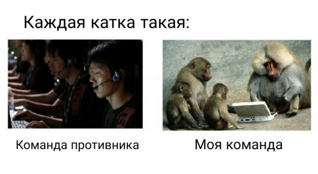 Весёлый полтишок 2.06.2021